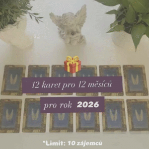 Podpůrné sdělení: Výklad (12 karet) pro rok 2026